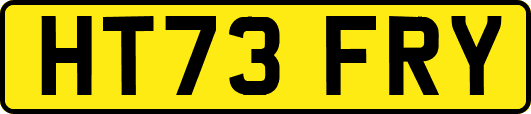 HT73FRY