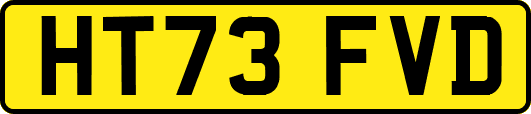 HT73FVD