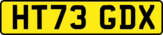 HT73GDX