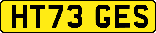 HT73GES