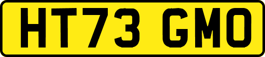 HT73GMO