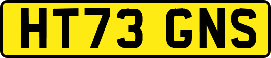 HT73GNS