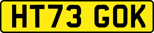 HT73GOK