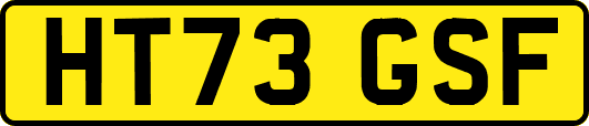 HT73GSF