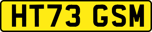 HT73GSM