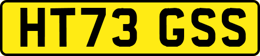 HT73GSS