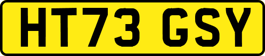 HT73GSY