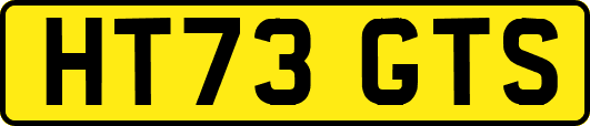 HT73GTS
