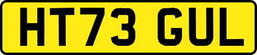 HT73GUL