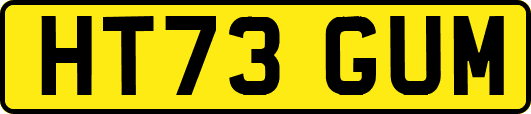 HT73GUM