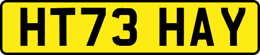 HT73HAY