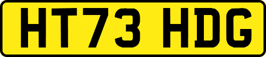 HT73HDG