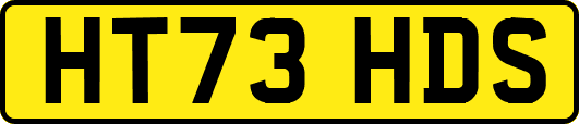 HT73HDS