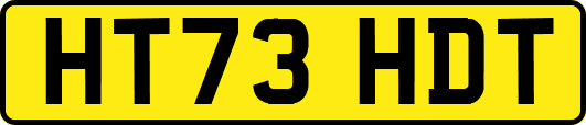 HT73HDT