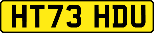 HT73HDU