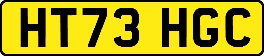 HT73HGC