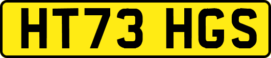 HT73HGS