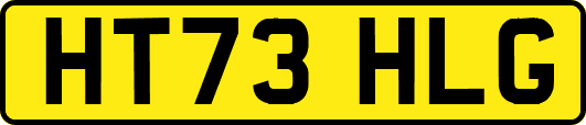 HT73HLG