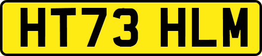 HT73HLM