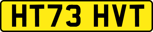 HT73HVT