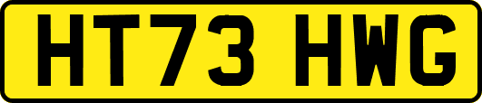 HT73HWG