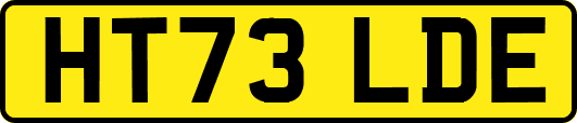 HT73LDE