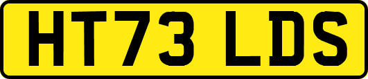 HT73LDS