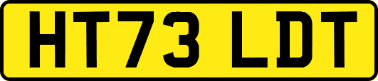 HT73LDT