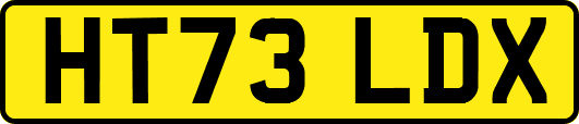 HT73LDX