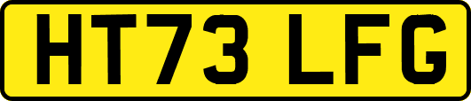 HT73LFG