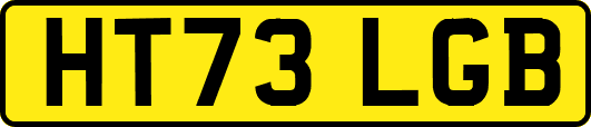 HT73LGB