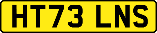 HT73LNS