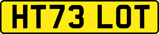 HT73LOT