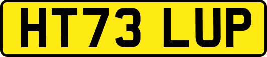 HT73LUP