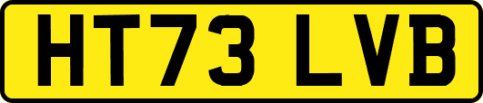 HT73LVB