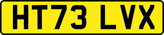 HT73LVX