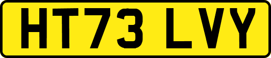 HT73LVY