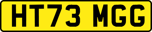 HT73MGG
