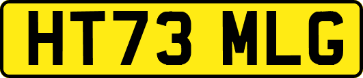 HT73MLG