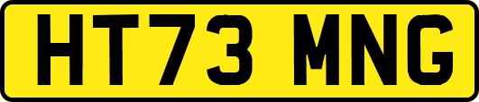 HT73MNG