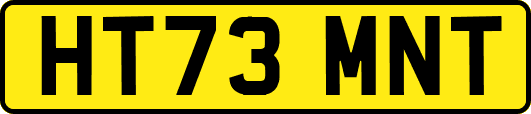 HT73MNT