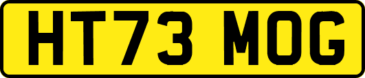 HT73MOG