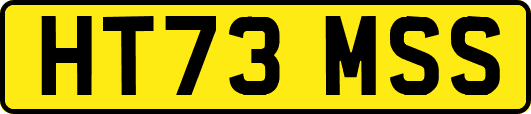 HT73MSS