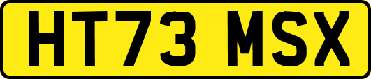 HT73MSX