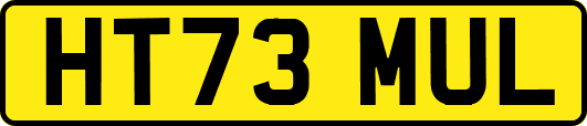 HT73MUL