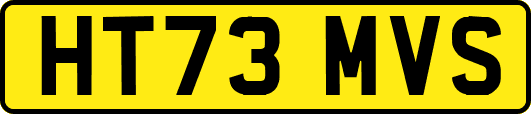HT73MVS