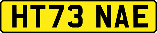 HT73NAE