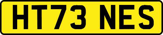 HT73NES