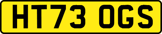 HT73OGS