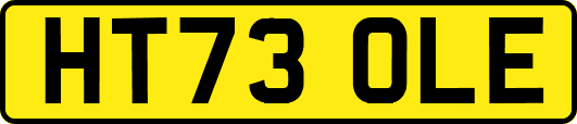 HT73OLE